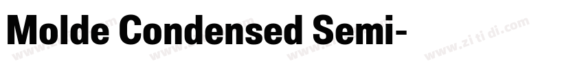 Molde Condensed Semi字体转换